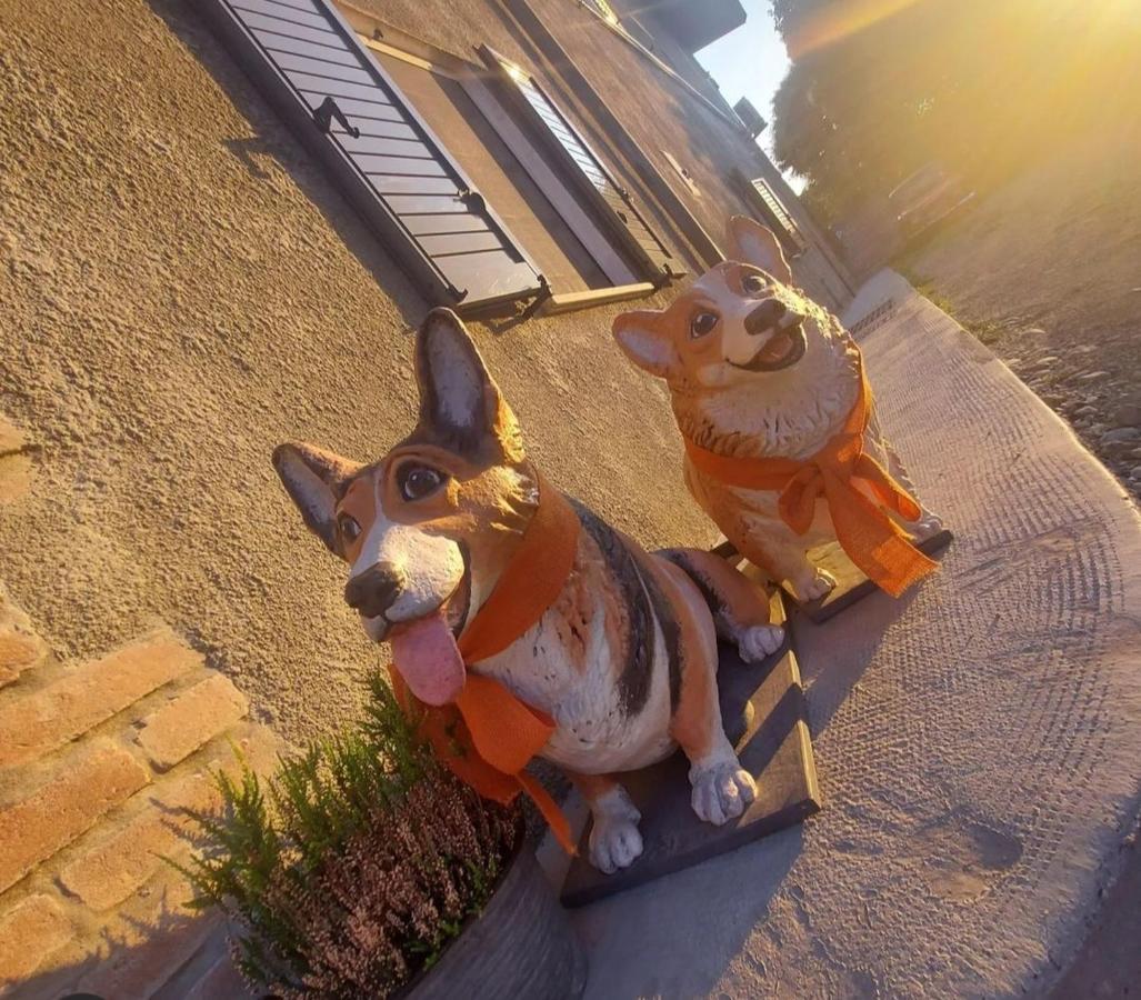 La Tana Dei Corgi Bed and Breakfast Moncrivello Eksteriør billede