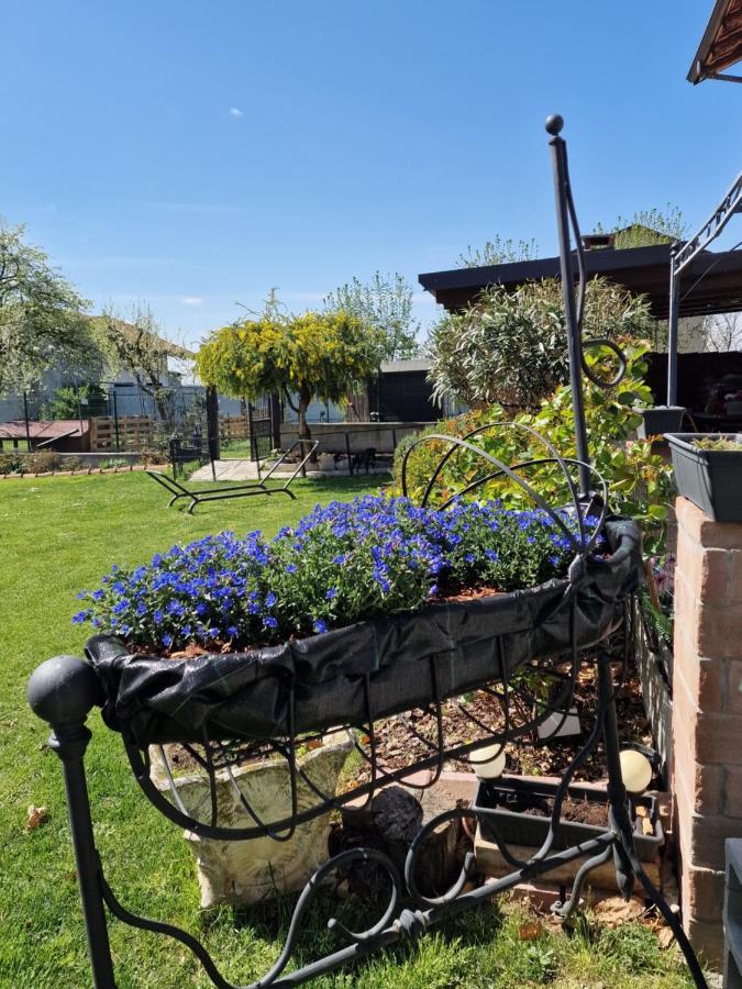 La Tana Dei Corgi Bed and Breakfast Moncrivello Eksteriør billede